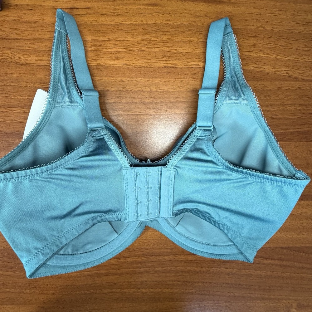 Wacoal Teal Bra - Picture 4 of 6